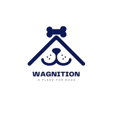 The Wagnition Spot